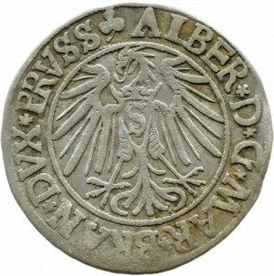 Ducal Prussia, Albrecht, Prussian penny 1540, Königsberg