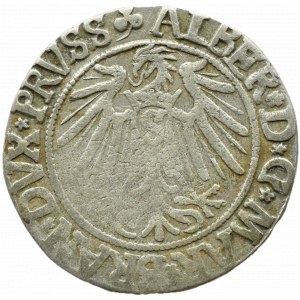 Prusy Książęce, Albrecht, grosz pruski 1541, Królewiec