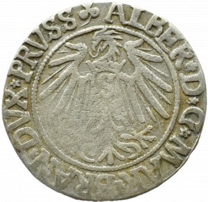 Ducal Prussia, Albrecht, Prussian penny 1541, Königsberg