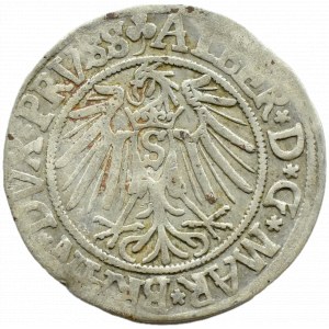 Prusy Książęce, Albrecht, grosz pruski 1541, Królewiec
