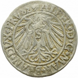 Ducal Prussia, Albrecht, Prussian penny 1541, Königsberg LONG BRODA