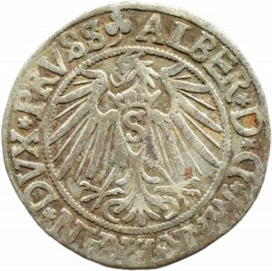 Ducal Prussia, Albrecht, Prussian penny 1541, Königsberg SHORT BRODY