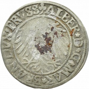 Ducal Prussia, Albrecht, Prussian penny 1542, Königsberg