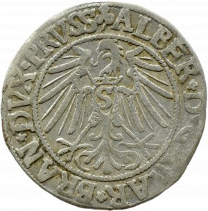 Ducal Prussia, Albrecht, Prussian penny 1543, Königsberg EXISTING COLLEGE