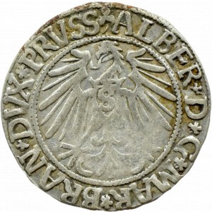 Ducal Prussia, Albrecht, Prussian penny 1543, Königsberg EXISTING COLLEGE