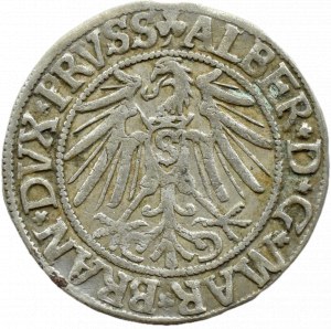 Ducal Prussia, Albrecht, Prussian penny 1543, Königsberg EXISTING COLLEGE