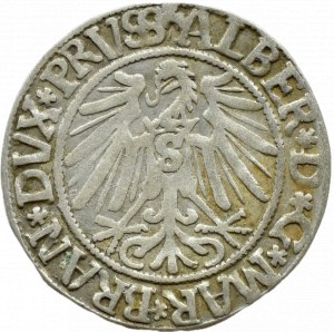 Ducal Prussia, Albrecht, Prussian penny 1543, Königsberg EXISTING COLLEGE