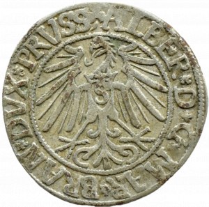 Ducal Prussia, Albrecht, Prussian penny 1543, Königsberg EXISTING COLLEGE