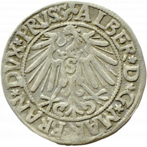Prusy Książęce, Albrecht, grosz pruski 1545, Królewiec