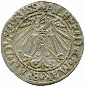Prusy Książęce, Albrecht, grosz pruski 1545, Królewiec