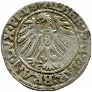 Prusy Książęce, Albrecht, grosz pruski 1546, Królewiec, RZADSZY ROCZNIK
