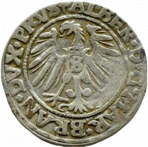Ducal Prussia, Albrecht, Prussian penny 1546, Königsberg, RARE ANNIVERSARY