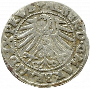 Ducal Prussia, Albrecht, Prussian penny 1547, Königsberg, RARE