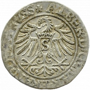 Ducal Prussia, Albrecht, Prussian penny 1535, Königsberg ROZETKI