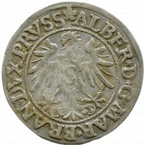 Ducal Prussia, Albrecht, Prussian penny 1535, Königsberg THREE