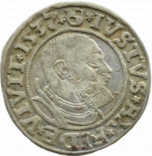 Ducal Prussia, Albrecht, Prussian penny 1537, Königsberg