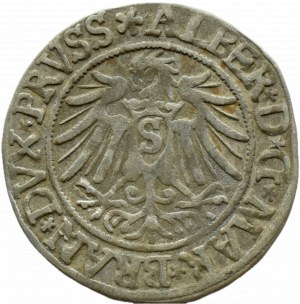 Ducal Prussia, Albrecht, Prussian penny 1537, Königsberg
