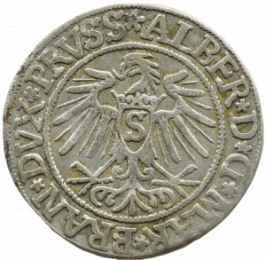 Ducal Prussia, Albrecht, Prussian penny 1537, Königsberg