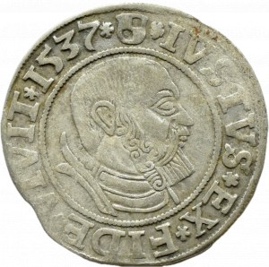 Ducal Prussia, Albrecht, Prussian penny 1537, Königsberg