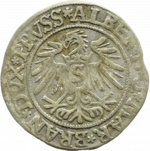 Ducal Prussia, Albrecht, Prussian penny 1537, Königsberg