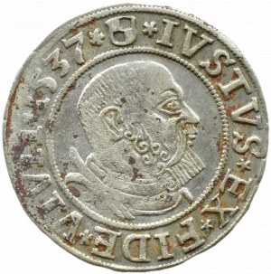 Ducal Prussia, Albrecht, Prussian penny 1537, Königsberg
