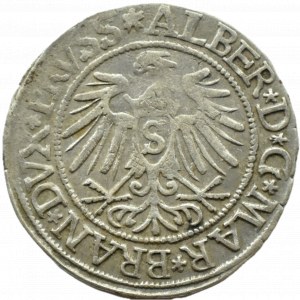 Ducal Prussia, Albrecht, Prussian penny 1537, Königsberg