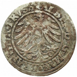 Prusy Książęce, Albrecht, grosz pruski 1531, Królewiec