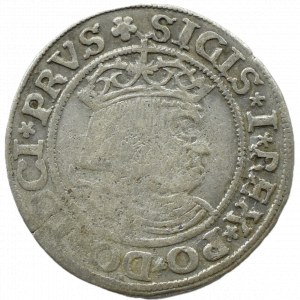 Sigismund I the Old, penny 1530, Toruń PRVS/PRVS
