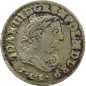 Jan III Sobieski, szóstak 1683 T.L.B., Bydgoszcz, JELITA