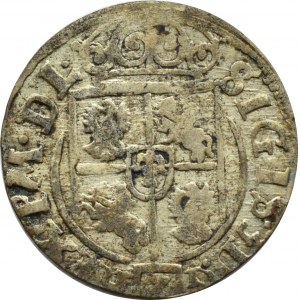 Zygmunt III Waza, półtorak 1625 półkozic bez tarczy, Bydgoszcz