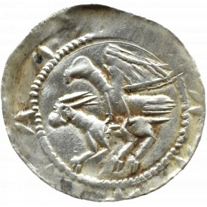 Władysław II Wygnaniec (1138-1146), denar - Orzeł i Zając, GWIAZDA, Kraków