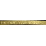 Niemcy, III Rzesza, medal Adolf Hitler, 1933, Prussische Staatsmuenze, złoto 750, EKSTREMALNIE RZADKI!