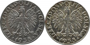 General Government, lot of 50 groszy 1938, Warsaw, TWO VARIES (1)