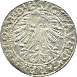 Sigismund II Augustus, half-penny 1564, Vilnius, axe, LITV/L