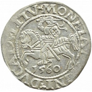 Zygmunt II August, półgrosz 1560, Wilno LITV/L