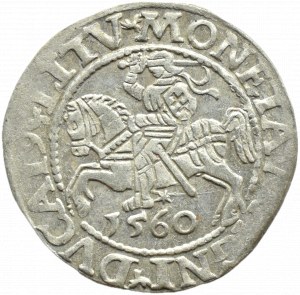 Sigismund II Augustus, half-penny 1560, Vilnius LITV/L