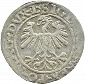 Sigismund II Augustus, half-penny 1560, Vilnius LITV/L