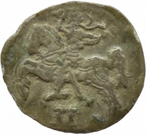 Sigismund II Augustus, dwudenar 1570, Vilnius