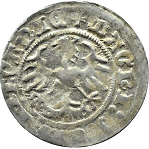 Sigismund I the Old, half-penny 1512, Vilnius