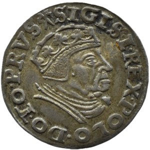 Sigismund I the Old, trojak 1539, Gdansk, BEAUTIFUL!