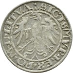 Zygmunt I Stary, grosz 1536 F, Wilno RZADKI