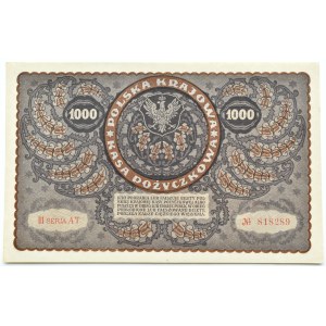 II RP, 1000 mariek 1919, III séria AT - typ 4, BEAUTIFUL