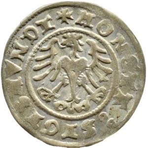 Sigismund I the Old, half-penny 1509, Cracow, BEAUTIFUL