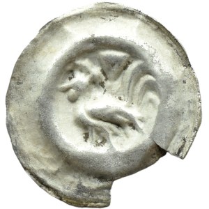 Ruler unspecified brakteat, 2nd half of 13th century, peacock with folded wings, VERY RARE TYPE