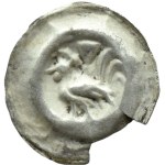 Ruler unspecified brakteat, 2nd half of 13th century, peacock with folded wings, VERY RARE TYPE