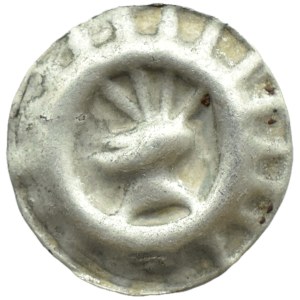 Allemagne, Brandebourg, Frédéric II, brakteat, casque à plumes