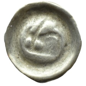 Silesia, Swidnica, 15th century brakteat, boar's head