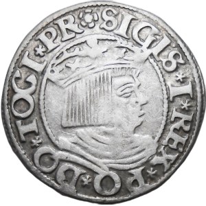 Sigismund I. der Alte, Stadtpfennig 1535, Danziger Blume, RARE