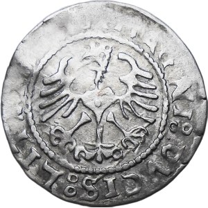 Sigismund I the Old, Lithuanian half-penny 1528, Vilnius BEAUTIFUL