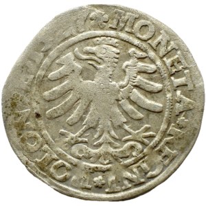 Sigismund I. der Alte Pfennig 1527, Krakau